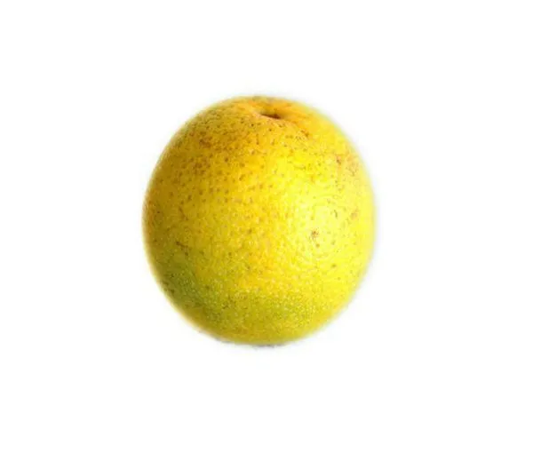 Image Description